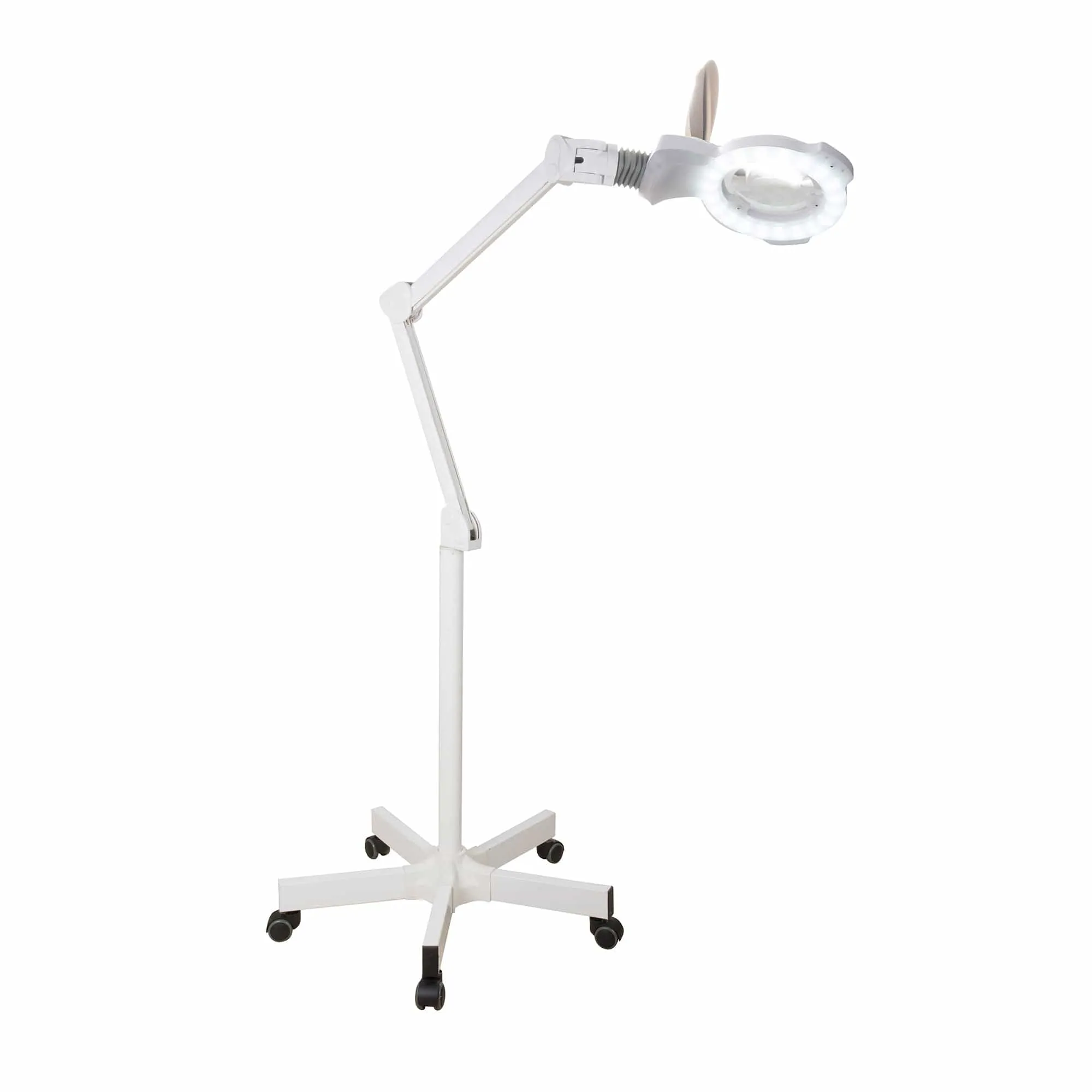 Facial Lamp with stand - 1006A